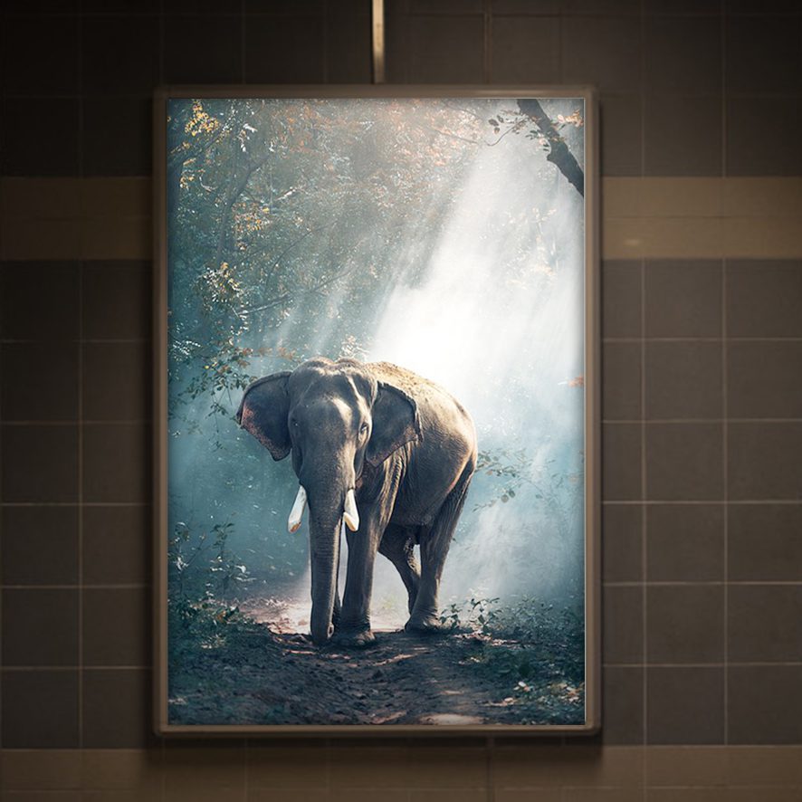 Lightboxes
