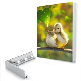 Stretched Fabric Frames